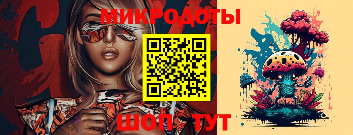 Галлюциногенные грибы Psilocybe Ртищево