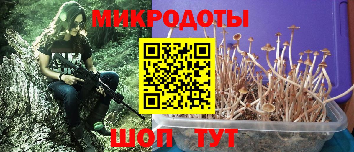 Галлюциногенные грибы мухоморы  Вход с VPN  Псилоцибиновые грибы мицелий  Ртищево 